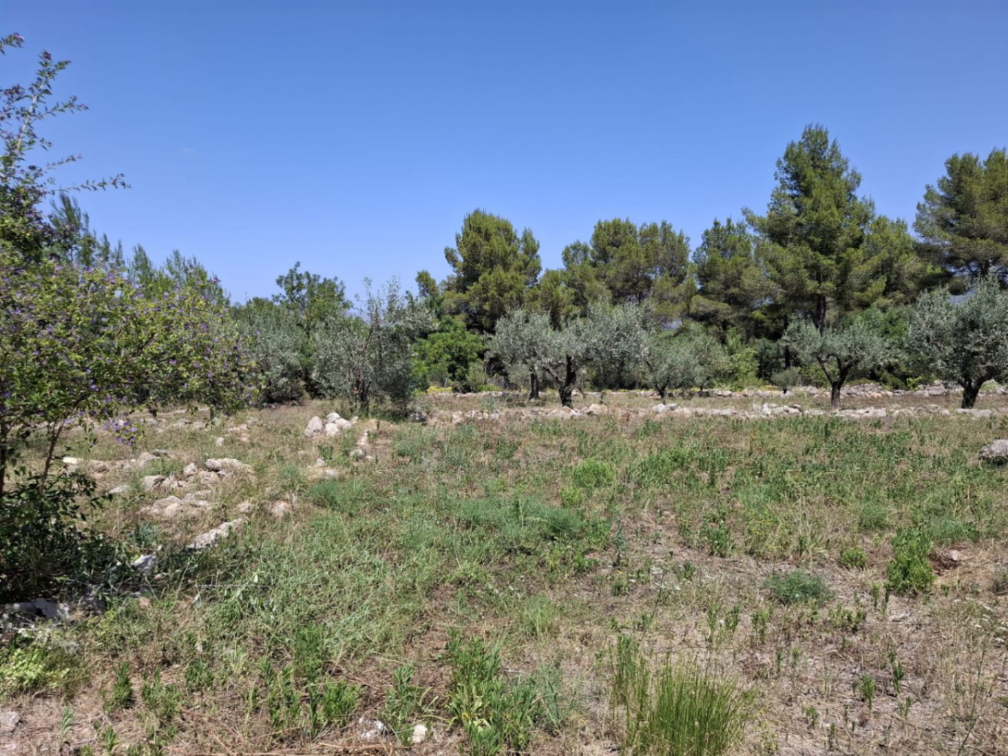 2756 - Finca con mucho encanto en Parcent a la Venta