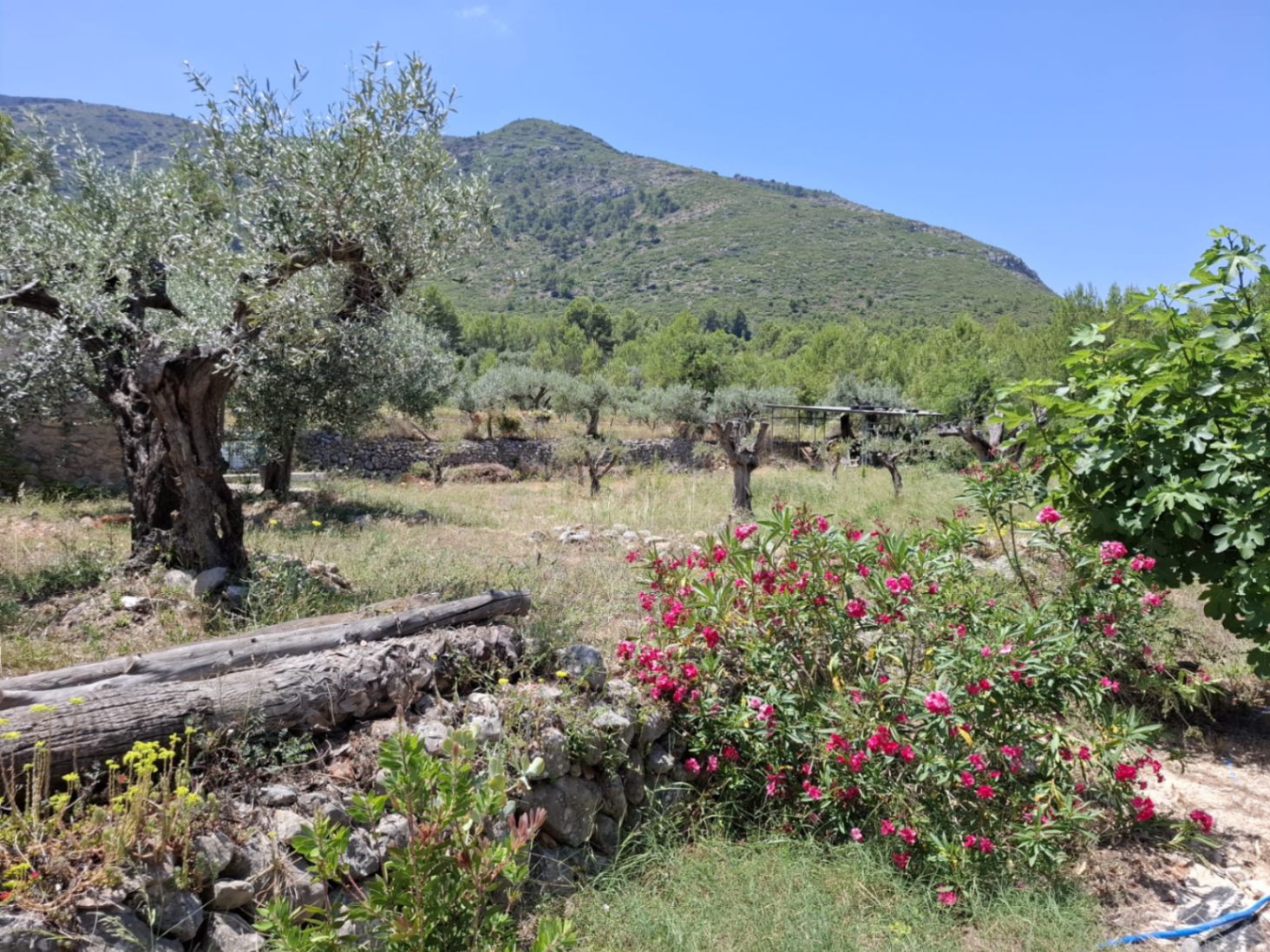 2756 - Finca con mucho encanto en Parcent a la Venta