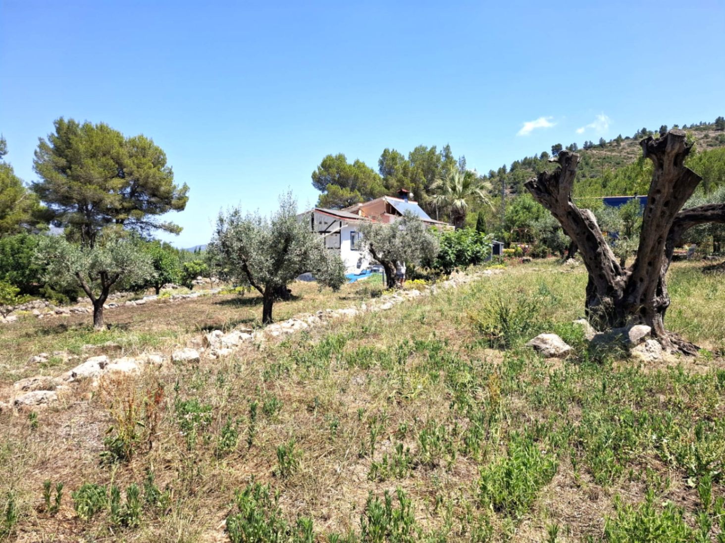 2756 - Finca con mucho encanto en Parcent a la Venta