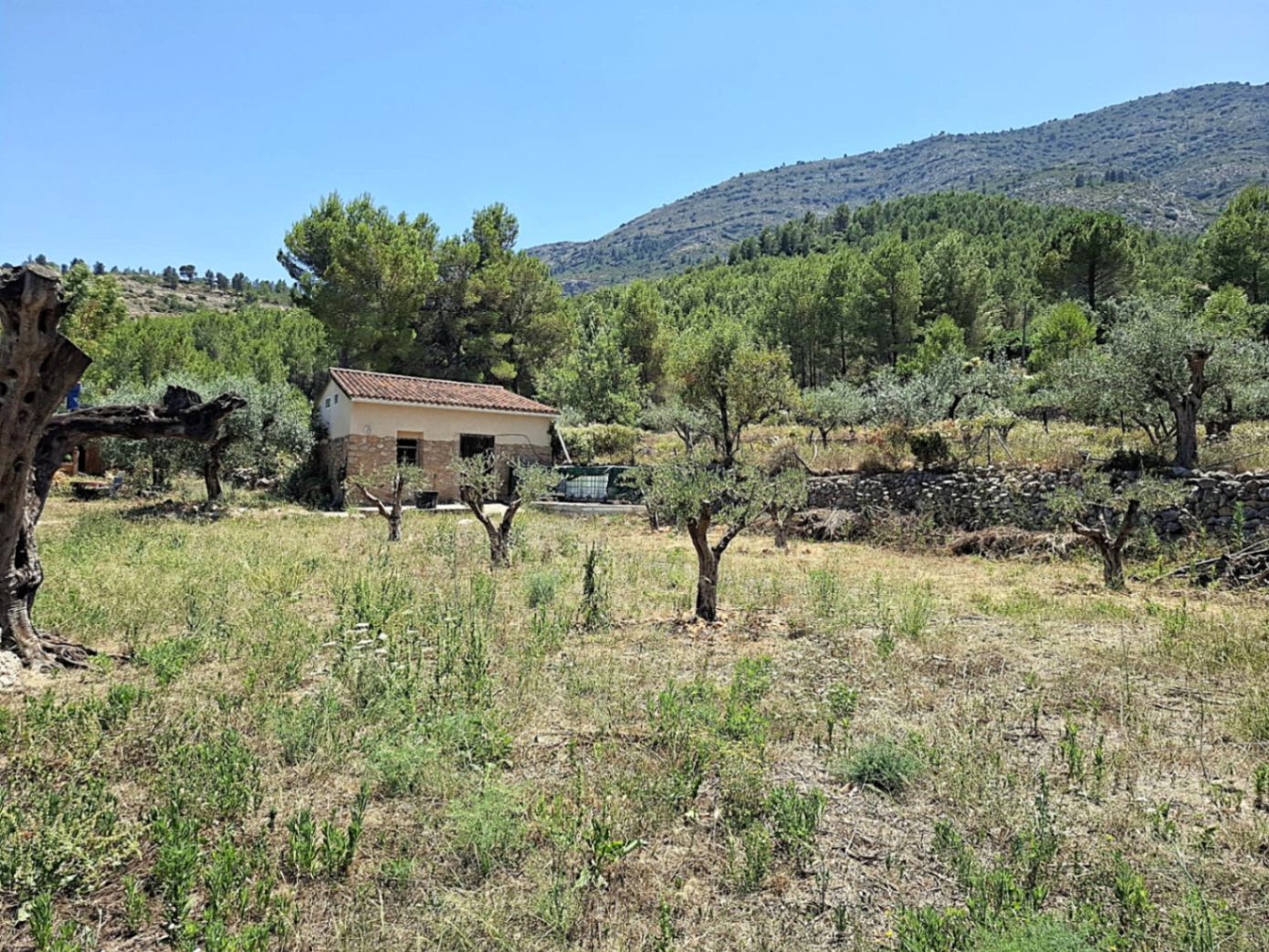 2756 - Finca con mucho encanto en Parcent a la Venta