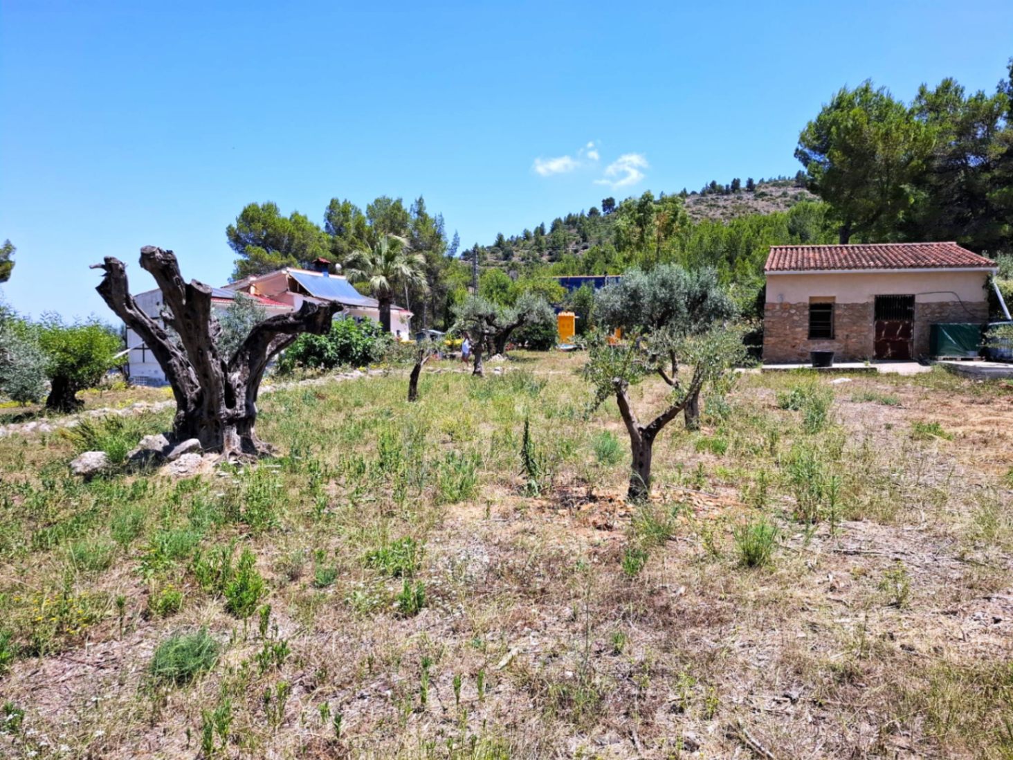 2756 - Finca con mucho encanto en Parcent a la Venta