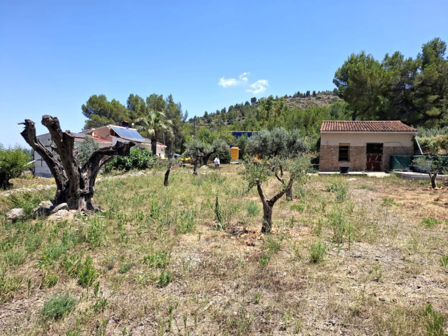 2756 - Finca con mucho encanto en Parcent a la Venta