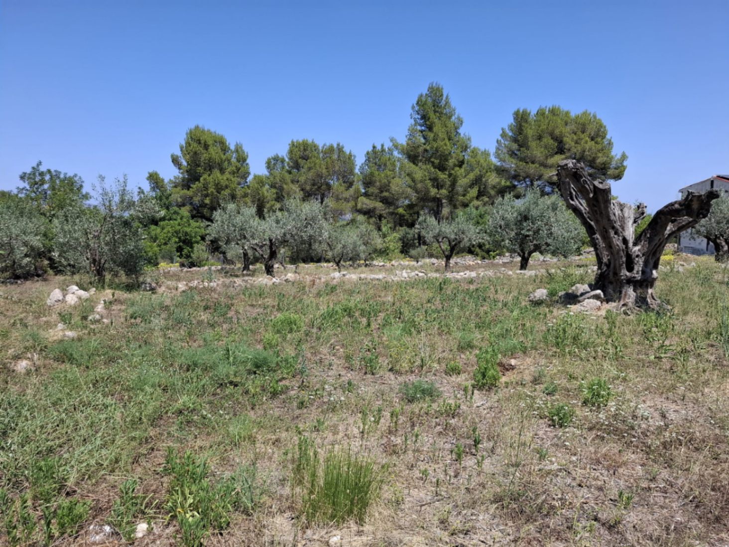 2756 - Finca con mucho encanto en Parcent a la Venta